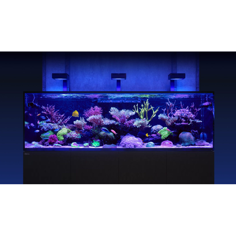 RED SEA Reefer S 1000 G2 Deluxe Blanc 795 Litres 3 ReefLED 160S