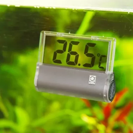 https://www.zoanthus.fr/10368-medium_default/jbl-digiscan-digital-thermometer-to-stick-on-aquarium-glass.webp