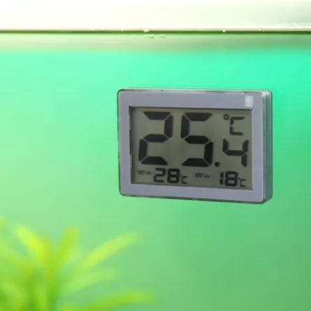 ZOLUX - Thermomètre à coller pour aquarium