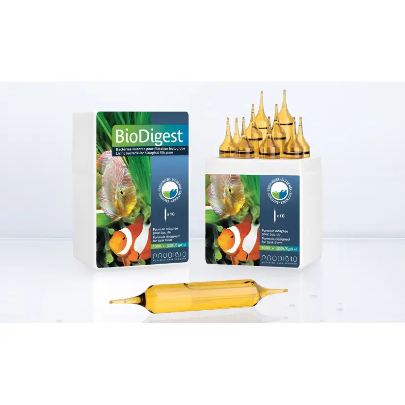 PRODIBIO - BioDigest Pro10 - 10 ampoules