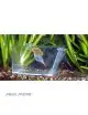 AQUA MEDIC - Trap Pest - Universal trap for crabs, snails and fireworms