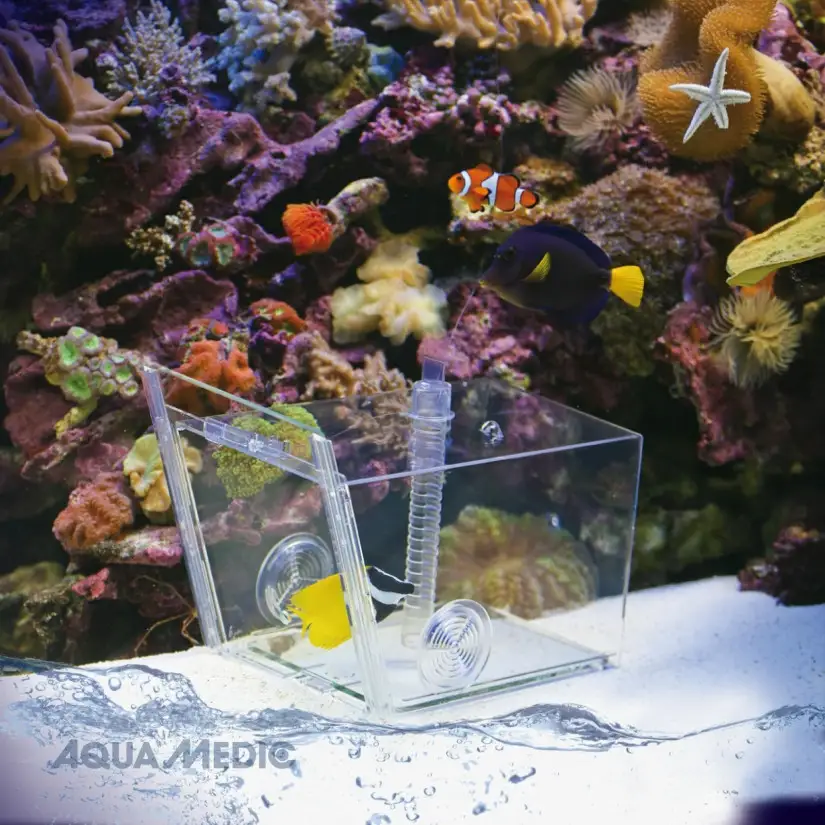 AQUA MEDIC - Armadilha para peixes - Armadilha para captura de peixes