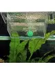 JBL - BabyHome proAir - Aquariumnestkast met diffuser