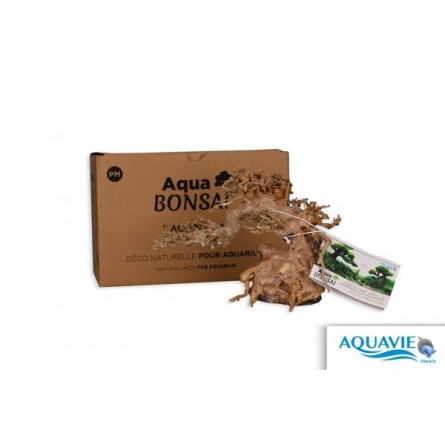 AQUAVIE - Aqua Bonsai per acquario - taglia M