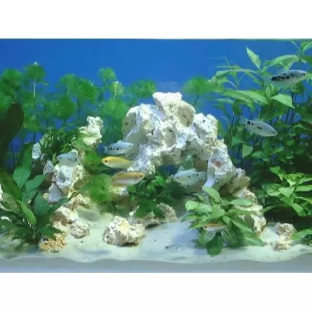 IGUOHAO Gravier d'aquarium Petits rochers décoratifs Pierres de cristal  IGUOHAO Galets Roches de verre de mer Gravier Sable pour réservoir de  poissons Aquaruim Vase Fillers 