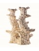 ARKA - Colonna Reef 2 rami - 40cm - Roccia in ceramica