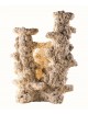 ARKA - Columna de arrecife 3 ramas - 30cm - Roca cerámica