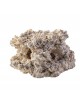 ARKA - Reef Cave 2 fori - 10cm - Roccia in ceramica