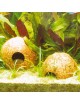 JBL - Cocos Cava - 1/2 L - Kokosnussschalen für Aquarien und Terrarien