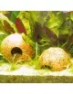 JBL - Cocos Cava - 1/2 M - Kokosnussschalen für Aquarien und Terrarien