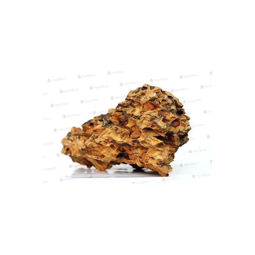 AQUADECO - Piedra Dragón - Talla S - 0,8 - 1,2 kg