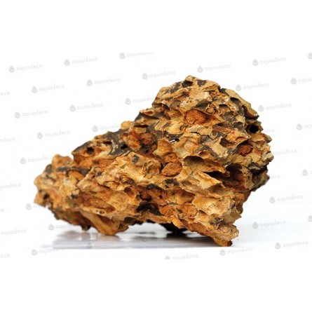 AQUADECO - Piedra Dragón - Talla S - 0,8 - 1,2 kg