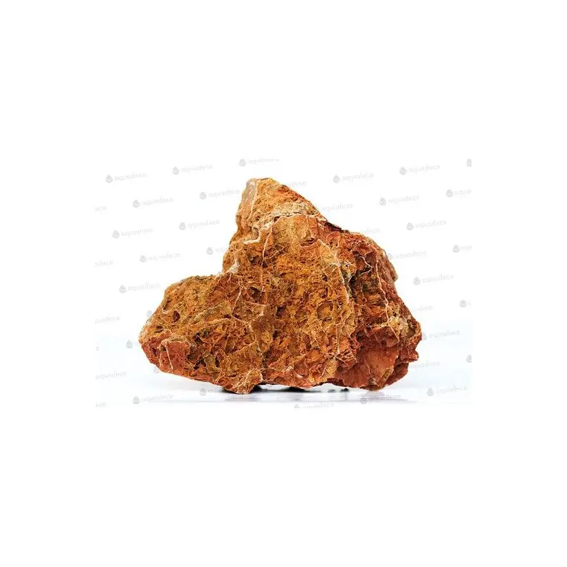 AQUADECO - Hoja de Arce - Talla S - 0,8 - 1,2 kg