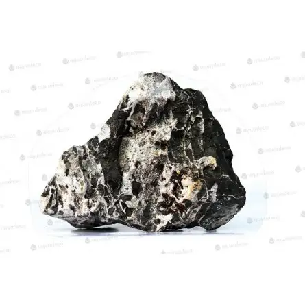 AQUADECO - Luipaard Rock - Maat S - 0,8 - 1,2 kg