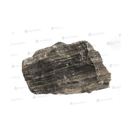 AQUADECO - Piedra Cebra - Talla S - 0,8 - 1,2 kg