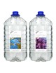 ATI – Essentials Pro – 2 x 10 l – Kalzium, Kh, Magnesium und Spurenelemente für ATI Aquarium – 1