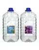 ATI – Essentials Pro – 2 x 10 l – Kalzium, Kh, Magnesium und Spurenelemente für ATI Aquarium – 1