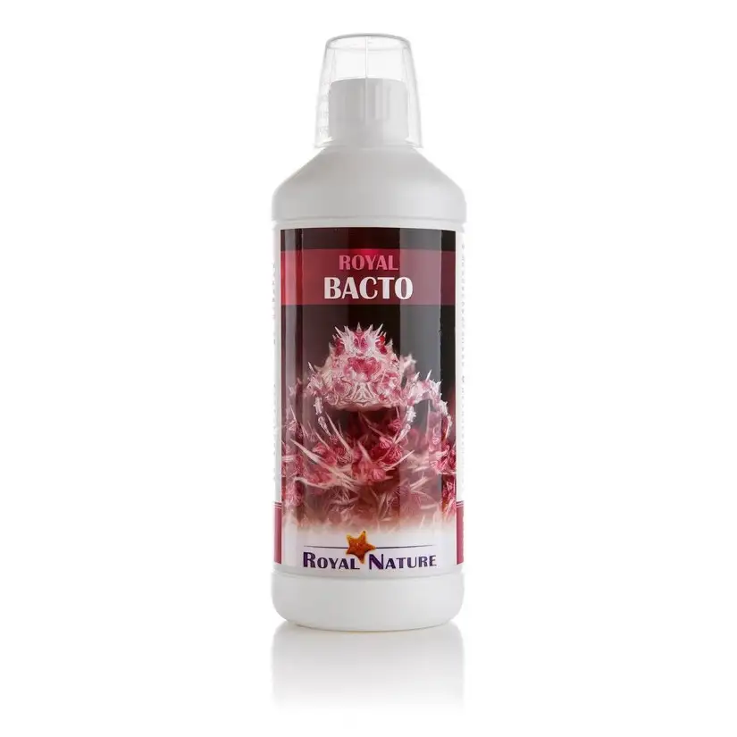 ROYAL NATURE - Bacto - 1000ml - Bacteria for start-up or maintenance