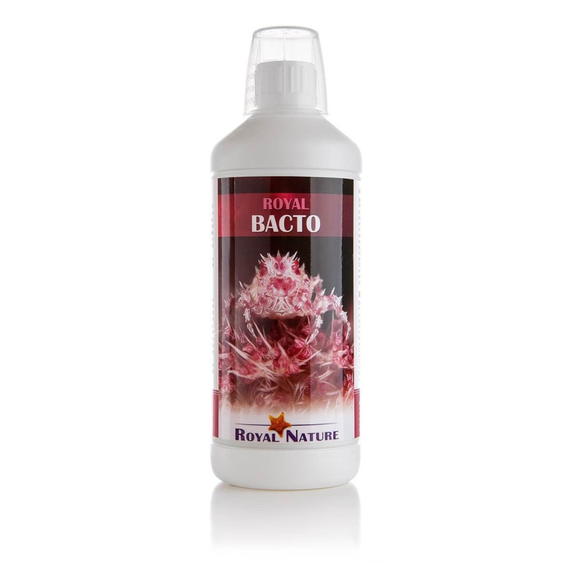 ROYAL NATURE - Bacto - 1000ml - Bacterias para puesta en marcha o mantenimiento