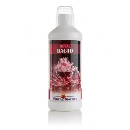 ROYAL NATURE – Bacto – 1000 ml – Bakterien für den Start oder die Erhaltung