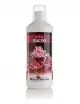 ROYAL NATURE - Bacto - 1000ml - Bacteriën voor start of onderhoud