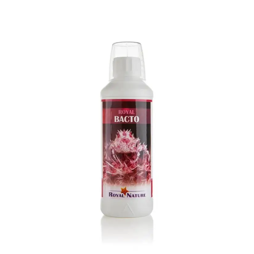 ROYAL NATURE - Bacto - 500ml - Bacteria for start-up or maintenance