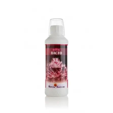 ROYAL NATURE - Bacto - 500ml - Bacteria for start-up or maintenance