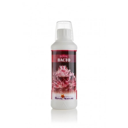 ROYAL NATURE - Bacto - 500ml - Bacterias para puesta en marcha o mantenimiento