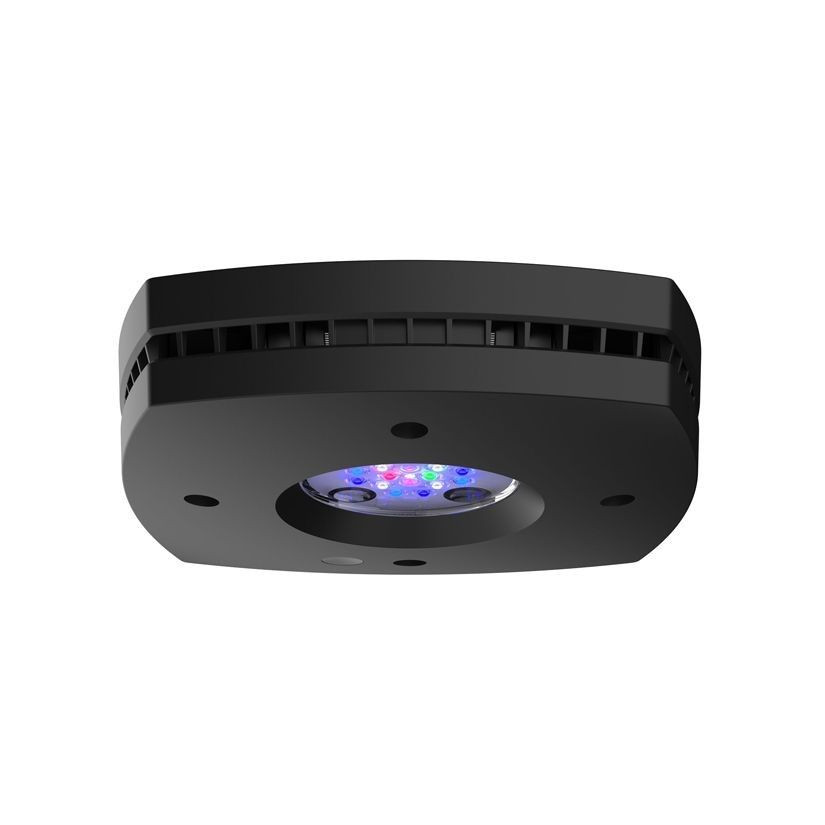 ILLUMINAZIONE AQUA - Prime 16HD 59w - Nero