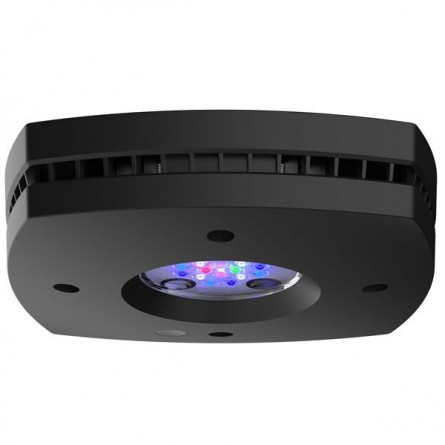 ILLUMINAZIONE AQUA - Prime 16HD 59w - Nero