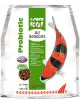 SERA - Koi All Seasons Probiotic - 5kg - Alimento premium per Koi