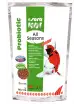 SERA - Koi Junior All Seasons Probiotic - 500g - Alimento premium per Koi