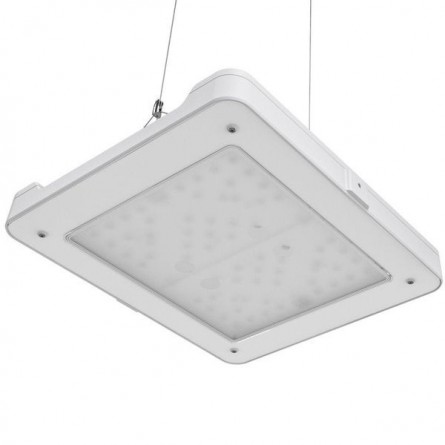 PHILIPS - LED CoralCare Gen2 White - LED traka za akvarij