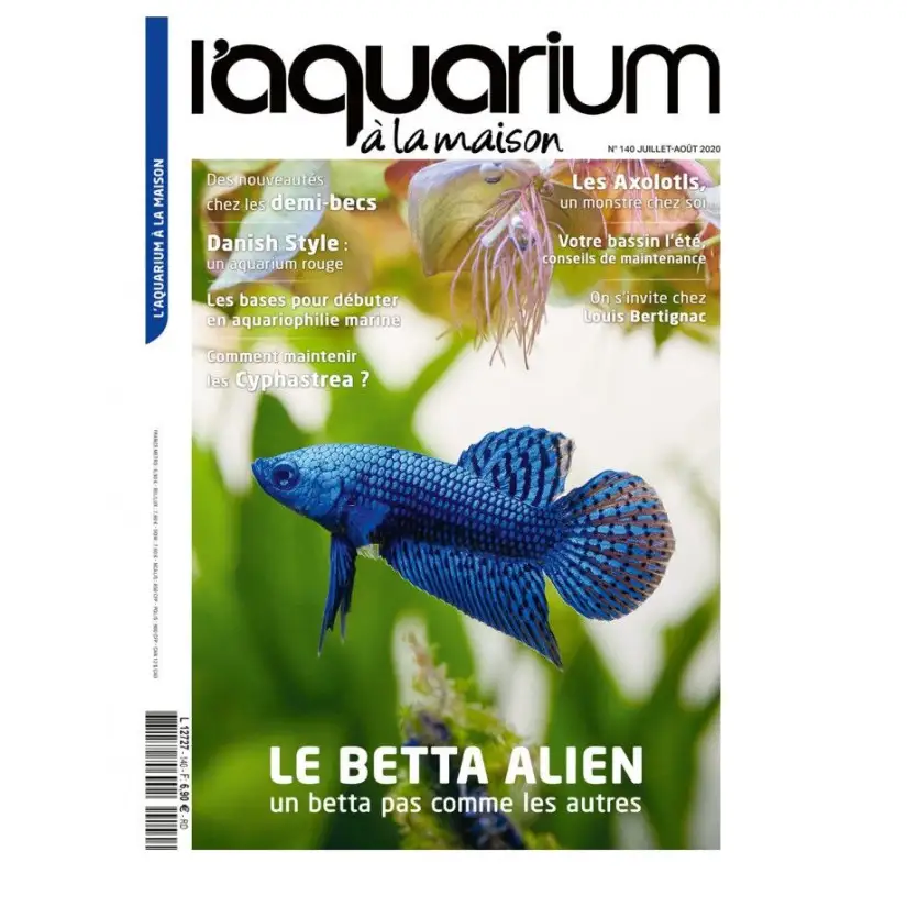 The Aquarium at home - Number 140