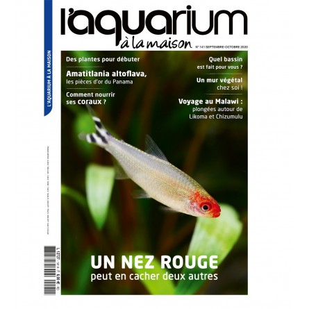 Das Aquarium zu Hause – Nummer 141 NMG Presse – 1