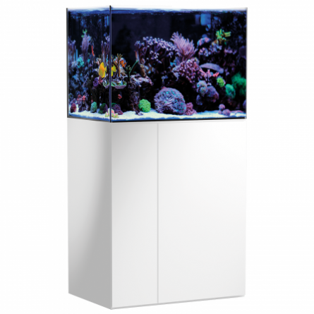 AQUA MEDIC - Armatus 250 - Bianco - Acquario marino