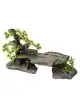 Aqua Della - Bonsai steen Grijs - 34x15,5x21cm - Rots en bonsai