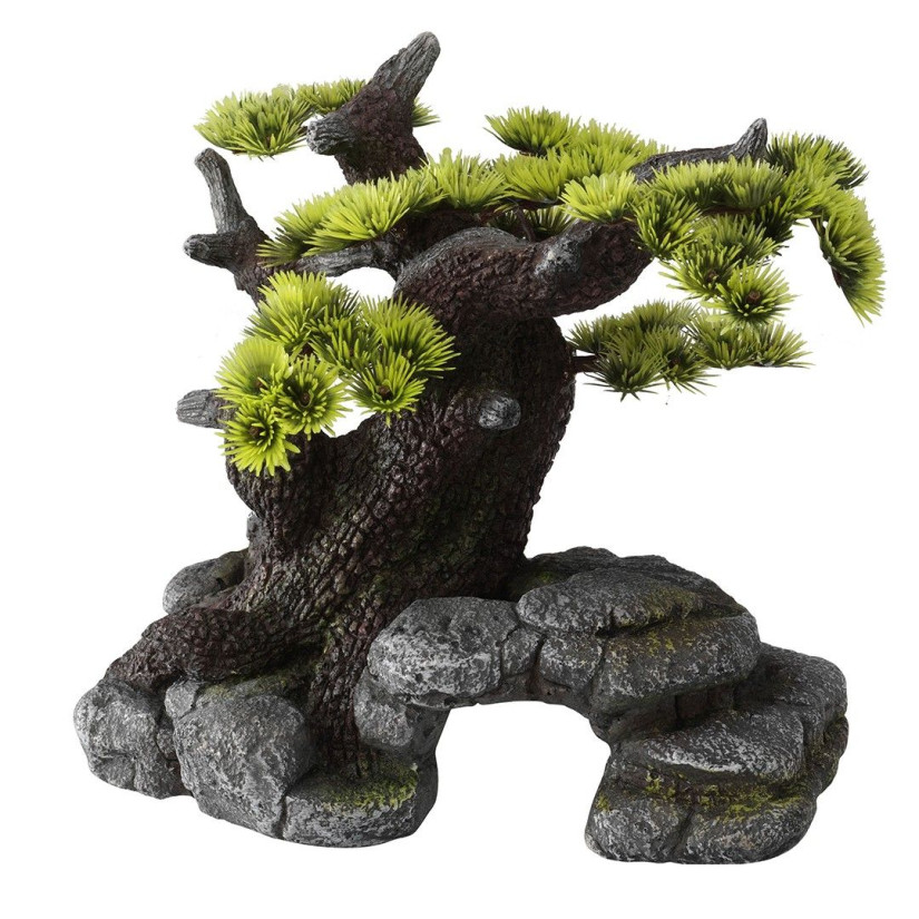 Aqua Della - Bonsai ML - 26x17,5x24cm