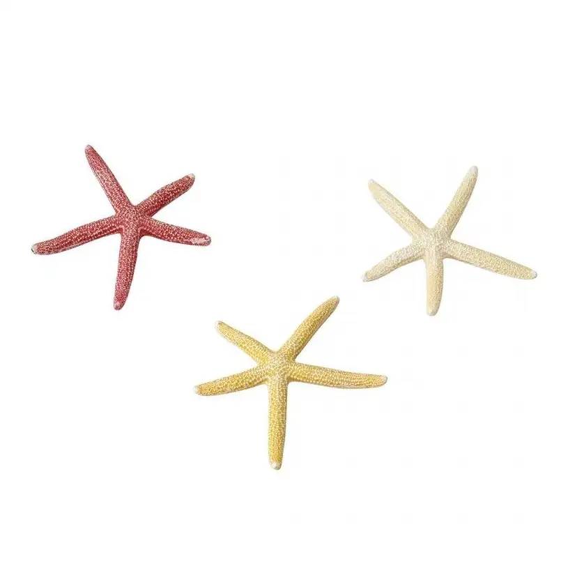 Aqua Della - Starfish mix S - 10cm - Etoiles de mer