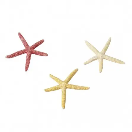 Aqua Della - Starfish mix S - 10cm - Starfish