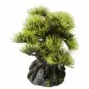 Aqua Della - Bonsai - 6 ST - 9,5 CM