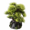 Aqua Della - Bonsai - 6ST - 9,5 CM