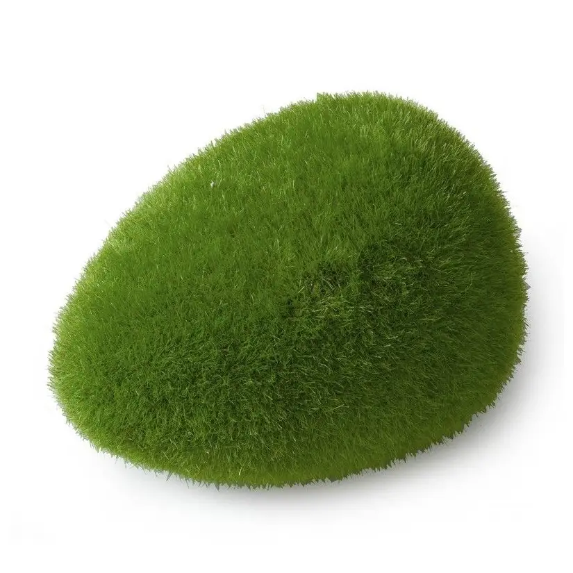 Aqua Della - Moss ball L - 11.5x9x6cm