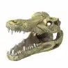 Aqua Della - Crocodile head S - 13.5x6.5x7.5cm - Crocodile head