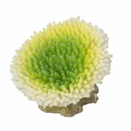 Aqua Della - Coraal acropora efflorescens Lime - 10.5x9x8cm - Corallo verde