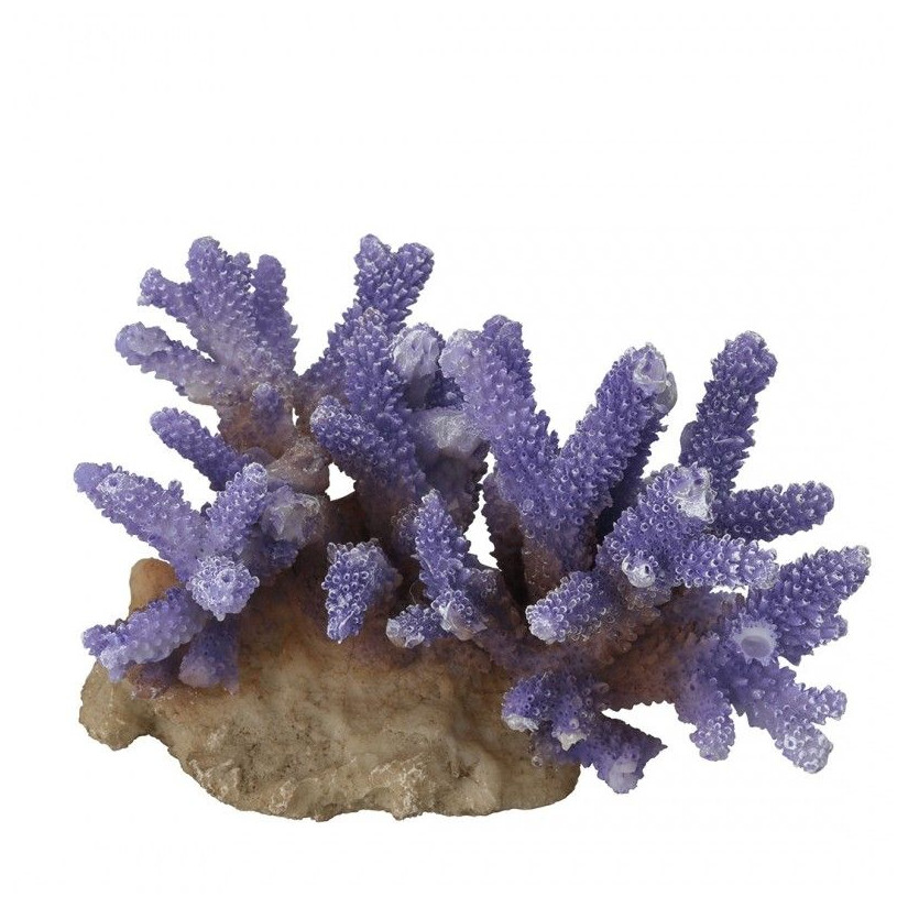 Aqua Della - Coraal acropora Malva - 15,5x12x10cm - Corallo malva