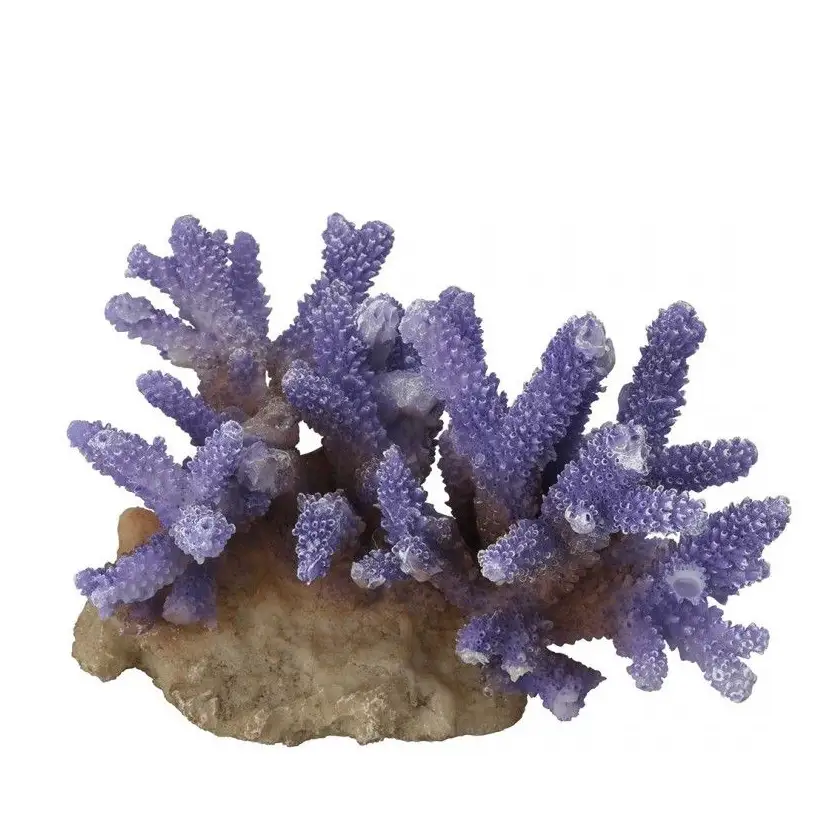 Aqua Della - Coraal acropora Mauve - 15,5x12x10cm - Corail mauve