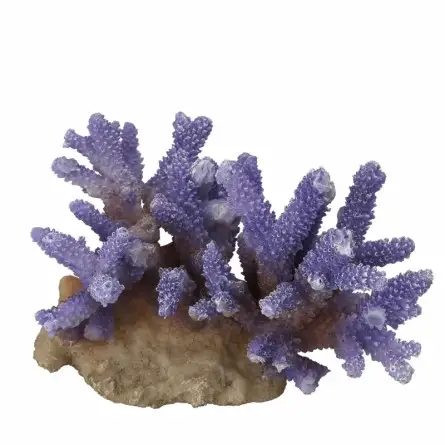 Aqua Della - Coraal acropora Mauve - 15,5x12x10cm - Lila Koralle