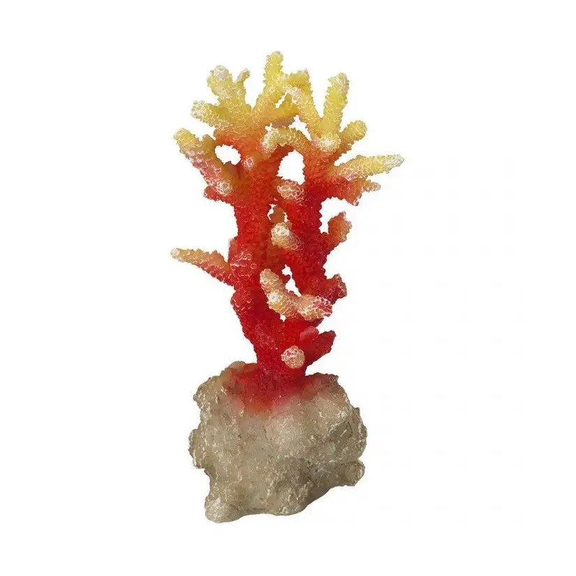 Aqua Della - Coraal acropora Orange - 7x6x14,5cm - Corallo arancio