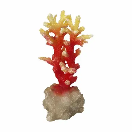 Aqua Della - Coraal acropora Orange - 7x6x14,5cm - Corallo arancio